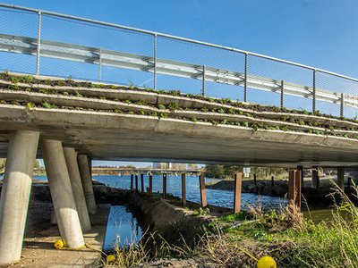 Hoe bouw je een duurzame en circulaire brug?
