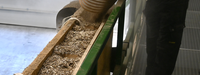 Hoex hemp isolation